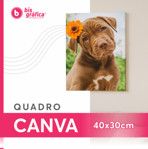 Quadro Canvas Personalizado 40x30 cm – Sua Arte em Alta Definição Tecido Canvas 330g 40x30cm 4x0  Chassi - Borda Infinita 